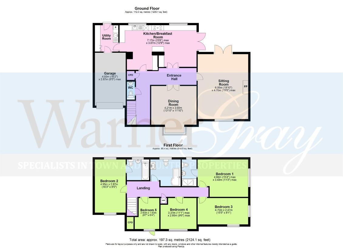 5 bedroom detached house for sale - floorplan